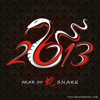 2013 chinese store new year