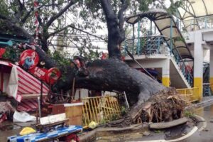 Cebu City devasted by Typhoon